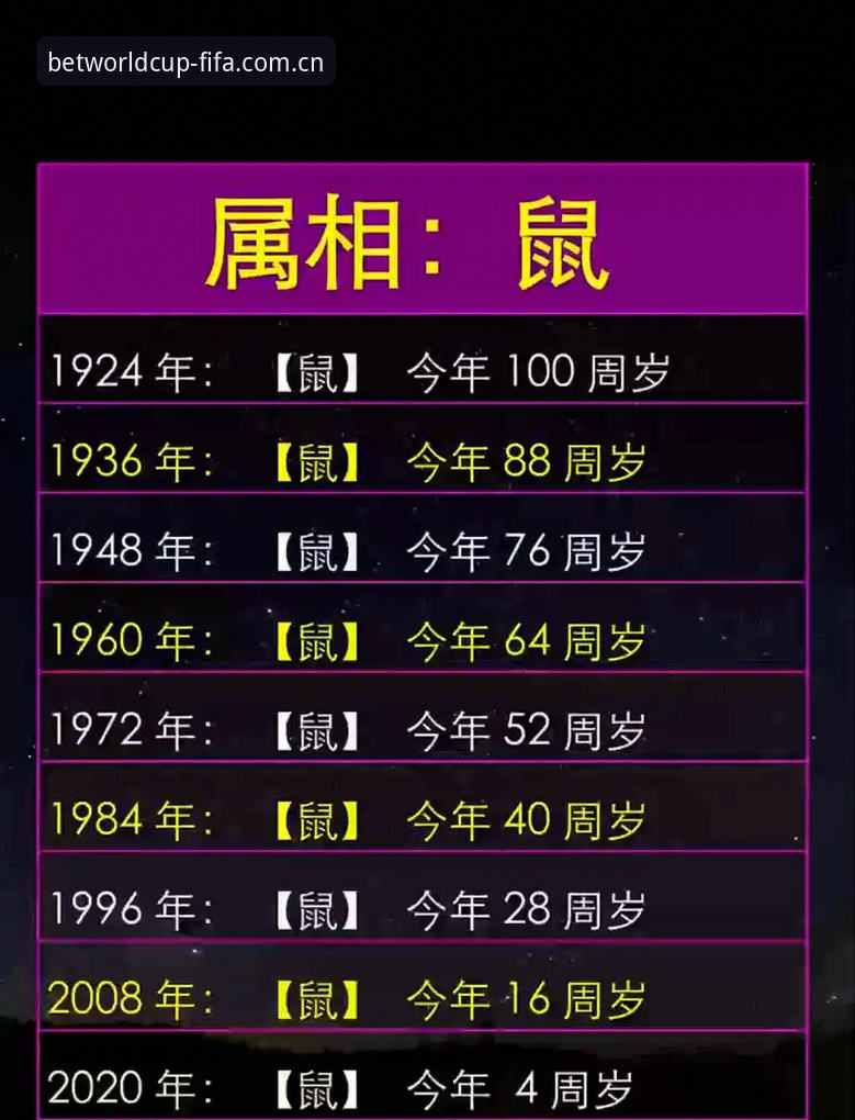 世界杯投注网站最新版 深度揭秘:世界杯投注网站最新版背后的技术架构与真实体验